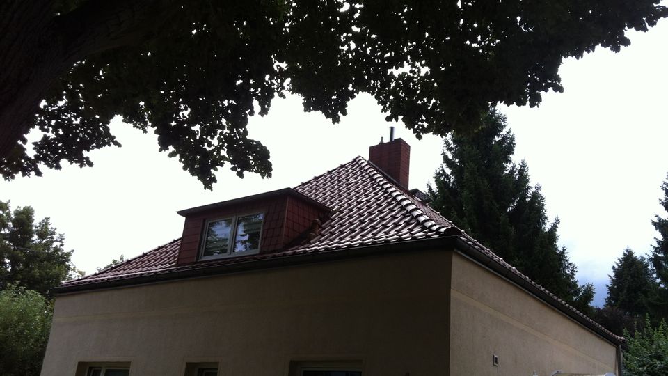 Einfamilienhaus mit hellem Putz und rotbraunem Ziegeldach, mit Dachgaube und Schornstein. Das Gebäude liegt in einem grünen Garten, oben von einer großen Baumkrone überragt und von hohen Nadelbäumen umgeben.