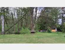 Eine Waldlichtung mit einer Wiese, mehreren Bäumen und einem Teich im Hintergrund. Rechts stehen ein hölzernes Gartenhäuschen, weiße Gartenstühle und ein Tisch.