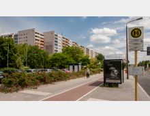 Wohngebiet mit einem mehrstöckigen Plattenbau im Hintergrund, einer Haltestelle mit Bushaltestellenschild rechts im Bild und einem mit Rosen bewachsenen Grünstreifen neben einem Geh- und Fahrradweg. Im Vordergrund ein Werbeplakat und eine einzelne Person auf dem Gehweg.