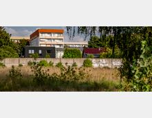 Eine offene, mit hohem Gras und Gestrüpp bewachsene Fläche, eingefasst von einer Betonmauer mit Graffiti. Im Hintergrund sind ein modernes, weiß-orangefarbenes Wohngebäude und weitere Gebäude mit Flachdächern sowie Bäume zu sehen.