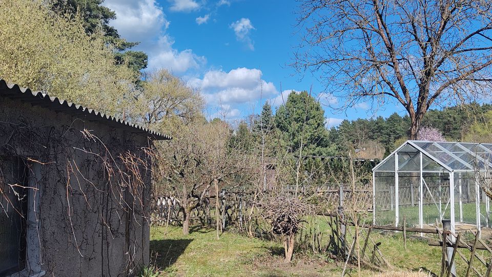 Blick über einen ländlichen Garten mit Rasenweg, kahlen Sträuchern und Bäumen unter blauem Himmel mit Wolken. Links steht ein kleines Nebengebäude mit Wellblechdach, rechts ein gläsernes Gewächshaus mit Metallrahmen.
