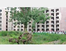 Verlassenes, mehrstöckiges Wohngebäude mit beschädigten Fenstern und verblasster Fassade, umgeben von überwuchernden Pflanzen. Im Vordergrund sind Bäume und ein umgestürzter Baumstumpf sichtbar, während die Hauswand mit Graffitis verziert ist.