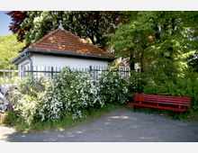 Ein kleines Gebäude mit weißer Fassade und roten Ziegeln, umgeben von einem Metallgitterzaun und blühenden weißen Sträuchern. Im Vordergrund steht eine rote Holzbank neben einem Weg, umgeben von grünen Bäumen.