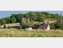 Ein weißes Einfamilienhaus mit braunem Dach steht inmitten einer ländlichen Landschaft, umgeben von Bäumen, Sträuchern und einer Wiese. Im Hintergrund befinden sich eine hügelige Fläche mit Wald und junge Baumplantagen.