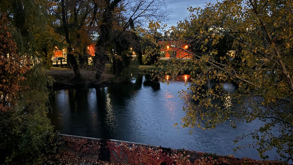 Blick über einen kleinen Teich in einem Park bei Dämmerung, umgeben von hohen Bäumen mit herbstlichem Laub. Im Hintergrund spiegeln sich beleuchtete Gebäude und Straßenlampen im Wasser, vorne ist eine niedrige, überwachsene Ufermauer zu sehen.