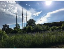 Wiese mit blühenden Pflanzen und dichtem Gebüsch, im Hintergrund mehrere Funkmasten, teilweise gestreift, unter einem blauen Himmel mit Sonne und weißen Wolken.