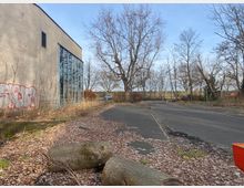 Ein leerer Außenbereich mit einem asphaltierten Weg, umgeben von kahlen Bäumen und wilden Sträuchern. Links im Bild ist die Fassade eines Gebäudes mit großen Glasfenstern und Graffiti zu sehen, im Vordergrund liegen gefällte Baumstämme.