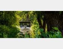 Ein kleiner Fluss fließt durch einen dicht bewachsenen, grünen Wald mit Bäumen und Sträuchern; im Hintergrund ist eine schmale Holzbrücke zu sehen, unter der das Wasser sanft über eine kleine Stufe hinabfließt.