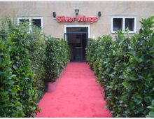 Eingang eines Gebäudes mit einer roten Teppichfläche, flankiert von Topfpflanzen mit dichten grünen Blättern; über der Eingangstür leuchtet ein rotes Neon-Schild mit der Aufschrift „Silver Wings“.