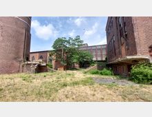 Ehemaliger Fabrikhof mit Backsteingebäuden, teilweise verfallen und von Vegetation überwuchert, ein großer Baum steht zentral zwischen den Gebäuden. Der Boden ist teils bewachsen, teils mit Gras bedeckt, und der Himmel ist leicht bewölkt.