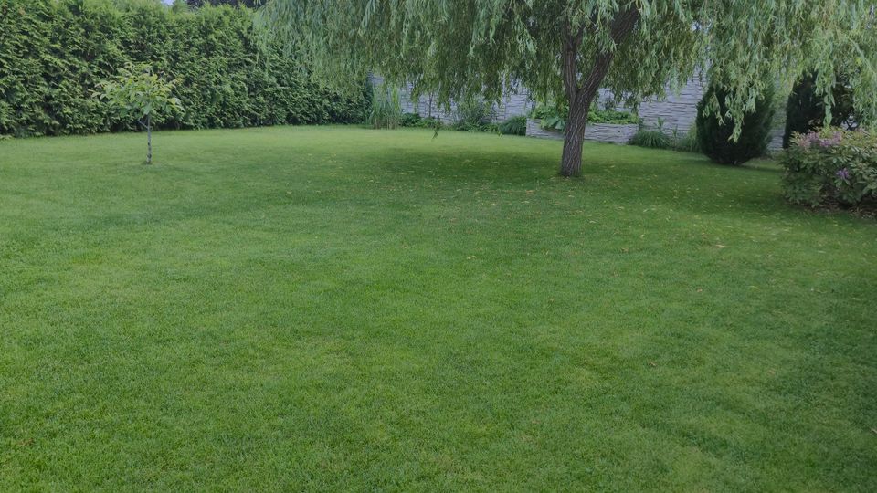 Großer, gepflegter Garten mit weitläufiger Rasenfläche und einer dominanten, überhängenden Trauerweide. Im Hintergrund begrenzen eine dichte Hecke und eine niedrige Steinmauer das Grundstück, darüber ein bewölkter Himmel.