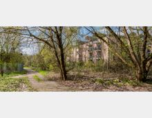 Waldweg mit Bäumen und Gestrüpp führt zu einem mehrstöckigen rosa Gebäude mit Balkonen, das teilweise von Pflanzen verdeckt ist. Im Vordergrund befindet sich ein Maschendrahtzaun und ein Pfad mit Laub.