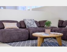 Ein Wohnzimmer mit einer dunkelvioletten Couch, dekoriert mit gemusterten Kissen, und einem runden Holztisch im Vordergrund, auf dem eine kleine grüne Pflanze in einem dekorativen Topf steht. Darunter liegt ein Teppich mit geometrischem Muster.