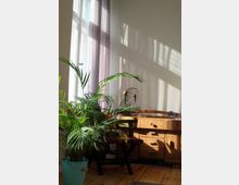 Heller Innenraum mit hohen Fenstern und halbtransparenten Vorhängen, durch die Sonnenlicht und Fensterschatten auf die helle Wand fallen. Vor dem Fenster stehen eine große Zimmerpflanze im Topf, ein dunkler Stuhl und ein niedriges Holzsideboard mit Schubladen und einer kleinen Tischlampe.