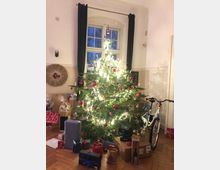 Ein weihnachtlich geschmückter Raum mit einem großen, beleuchteten Tannenbaum als zentralem Element, dekoriert mit roten und goldenen Kugeln sowie Lichterketten. Unter dem Baum liegen zahlreiche bunt verpackte Geschenke, im Hintergrund ist ein großes Fenster mit dunklen Vorhängen und blauer Abendhimmel sichtbar.