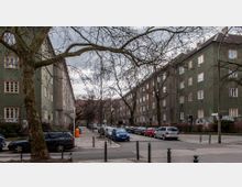 Straßenszene in einer Wohngegend mit mehrstöckigen, dunkelgrünen und grauen Apartmentgebäuden auf beiden Seiten, parkenden Autos und kahlen Bäumen entlang des Gehwegs. Der Himmel ist bewölkt, und im Hintergrund sind weitere Gebäude sichtbar.