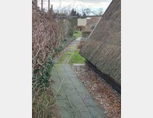 Schmaler gepflasterter Gehweg mit niedrigen Hecken und kahlen Sträuchern an der linken Seite, einer Rasenfläche im Hintergrund und einem reetgedeckten Gebäude mit schrägem Dach rechts.