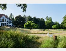 Eine weitläufige Parklandschaft mit einem geschwungenen Kiesweg, einer weißen Parkbank und mehreren vereinzelten Bäumen, darunter ein großer Baum mit ausladender Krone. Im Hintergrund steht ein weißes Gebäude mit roten Dachziegeln und Balkon, umgeben von dichten Bäumen.