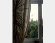 Blick aus einem Fenster mit weißen Rahmen auf eine grüne Baumlandschaft, im Hintergrund der Berliner Fernsehturm erkennbar; ein Vorhang und eine Zimmerpflanze rahmen die Szenerie.