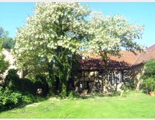 Fachwerkhaus mit rotem Ziegeldach in einem Garten unter blühenden Bäumen. Im Vordergrund eine Rasenfläche mit vereinzelten Gartenmöbeln und umgebender üppiger Vegetation.