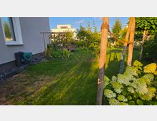 Seitlicher Blick in einen gepflegten Hausgarten mit Rasenfläche neben einer grauen Hauswand mit Fenster. Entlang des Rasens stehen junge Bäume mit Stützpfählen, Sträucher und blühende Hortensien; im Hintergrund sind ein Rankgerüst und weitere Gartenpflanzen zu sehen.