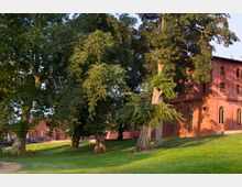 Rote Backsteingebäude in einem parkähnlichen Umfeld mit großzügigen Grünflächen und großen, schattenspendenden Bäumen. Das Gebäude zeigt hohe Rundbogenfenster und wird von Sonnenlicht angestrahlt.