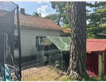 Hinterhof mit einem kleinen verputzten Gebäude mit rotem Ziegeldach, davor ein eingezäunter Käfig mit grünem Planendach. Im Vordergrund steht ein großer Baumstamm, rechts ist ein rotes Gartenhaus mit Schindeldach zu sehen.