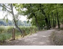 Ein sandiger Waldweg führt durch eine von hohen Bäumen gesäumte Landschaft, rechts ein leicht erhöhtes Waldstück, links ein Maschendrahtzaun mit angrenzendem Schilf und teilweise sichtbarem See.