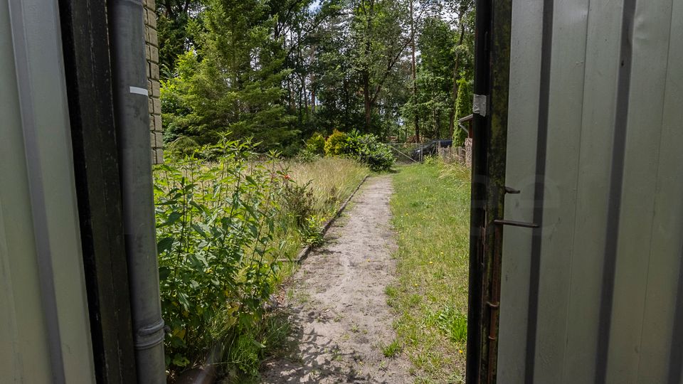 Blick durch eine geöffnete Metalltür auf einen schmalen Sandweg, der durch einen verwilderten Garten mit hohem Gras und Sträuchern führt. Im Hintergrund stehen dichte Bäume, daneben sind ein Zaun und eine kleine Hütte am Rand zu erkennen.