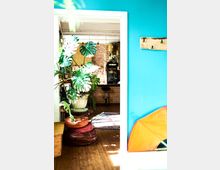 Blick durch eine Türöffnung in einen Wohnzimmerbereich mit Holzboden, sichtbarer Backsteinwand und dekorativem Teppich. Im Vordergrund stehen große grüne Pflanzen, leuchtend türkise Wände, und ein hölzernes Regal mit Haken ist an der rechten Wand angebracht.