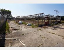 Reihe leerstehender, verglaster Gewächshäuser mit rostenden Metallgestellen auf einem verwilderten Gelände. Im Vordergrund Betonflächen mit verstreutem Unkraut und herumliegendem Material, im Hintergrund Bäume und ein Strommast.