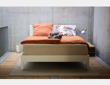 Modernes Schlafzimmer mit einer minimalistisch gestalteten weißen Bettgestell auf einem Holzfußboden. Das Bett ist mit orangefarbener Bettwäsche, einem Kissen mit floralem Muster und gerollten Handtüchern dekoriert; die Betonwand im Hintergrund verleiht dem Raum einen industriellen Look.