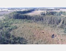 Luftaufnahme einer bewaldeten Landschaft mit dichtem Gebüsch und Schilf in der Mitte, umgeben von höheren Bäumen. Im Hintergrund sind offene Felder und vereinzelte Gebäude in einer ländlichen Umgebung sichtbar.
