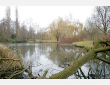 Ein kleiner See in einer parkähnlichen Landschaft, umgeben von kahlen Bäumen und Sträuchern im Winter. Im Vordergrund ragen Äste und ein umgestürzter Baum ins Wasser, während im Hintergrund eine Wiese und weitere Bäume zu sehen sind.