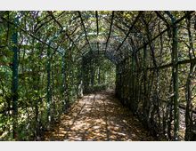 Ein überdachter Laubengang mit grünen Metallstreben, dicht bewachsen von Pflanzen und Bäumen, durch den dappled Licht fällt. Der Boden ist mit fallenden Blättern übersät.