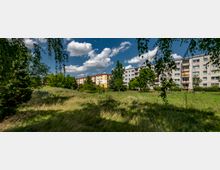 Wohngebiet mit einer Wiese im Vordergrund, umgeben von Bäumen und Sträuchern. Im Hintergrund stehen mehrstöckige Wohnhäuser mit bunten Fassaden und mehreren Balkonen unter blauem Himmel mit weißen Wolken.