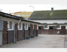 Ein Innenhof eines Reitstalls mit kleinen Stallungen, deren Türen dunkelbraun gestrichen sind. Ein Pferd schaut aus einer der Boxen heraus, und mehrere Fenster sind in die weißen Wände eingelassen. Im Hintergrund ist ein Gebäude mit gelbem Dach und ein Baustellenkran zu sehen.