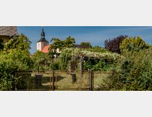 Kirchturm mit schwarzer Spitze und goldener Wetterfahne im Hintergrund, umgeben von Bäumen und Sträuchern eines grünen Gartens. Im Vordergrund ein Metalltor, das zu einem verwilderten Grundstück führt.