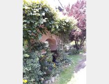 Ein Haus mit rosa gestrichener Fassade und überdachtem Eingangsbereich, der mit rankenden Weinpflanzen und umgebenden Blumenbeeten bewachsen ist. Im Vordergrund befindet sich ein Rasen mit einem Pfad, und im Hintergrund sind Bäume und ein Gartenzaun zu sehen.