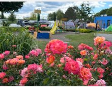 Ein Spielplatz mit Klettergerüst, Rutsche und umliegenden Zelten inmitten eines Campingplatzes, im Vordergrund blühende Rosengewächse in leuchtenden Rot- und Orangetönen. Der Hintergrund zeigt grüne Bäume und einen bewölkten Himmel.