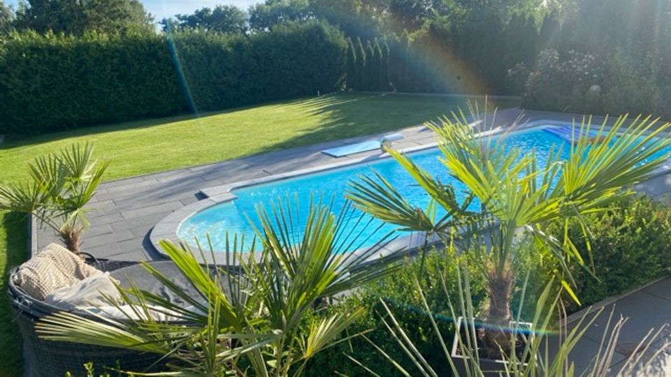 Außenbereich mit einem rechteckigen Swimmingpool mit umlaufender Steinpflasterung, daneben eine große Rasenfläche und hohe, dichte Hecken als Sichtschutz. Im Vordergrund stehen Palmen und Sträucher, im Hintergrund weitere Bäume unter blauem Himmel.