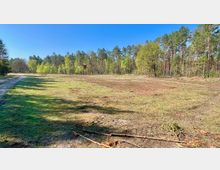 Offene Wiese am Waldrand mit dichtem Nadel- und Laubbaumbestand im Hintergrund. Ein Hochsitz steht am Rand der Lichtung, und ein schmaler, unbefestigter Weg verläuft links entlang der Fläche.