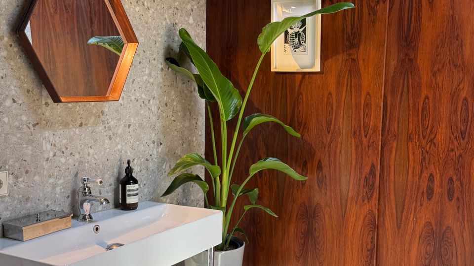 Modern bathroom corner with a white wall-mounted sink on chrome legs, a hexagonal wood-framed mirror with a light above it, and terrazzo-style walls and floor. A tall potted plant sits beside a large wood-paneled wall with a small framed picture.