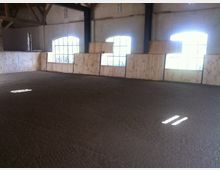 Innenansicht einer Reithalle mit großen, gebogenen Fenstern, die Tageslicht hereinlassen. Der Boden besteht aus einer ebenen, sandartigen Fläche, und die Wände sind mit hellen Holzplatten verkleidet.