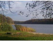 Ein ruhiger See in einer herbstlichen Landschaft, umgeben von Bäumen mit fallendem Laub. Im Vordergrund sind eine Wiese, Schilf und vereinzelte Äste zu sehen.