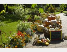Ein gepflegter Garten mit einem Weg aus Pflastersteinen, gesäumt von bunten Blumenbeeten in Gelb, Orange und Rot. Rechts steht eine Ansammlung von Kürbissen und anderen Gemüsesorten in Körben, daneben eine Kreidetafel mit Preisen.