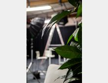 Aufnahme eines Studiosettings mit verschwommenem Hintergrund, der eine Leiter, Stühle und Beleuchtungsausrüstung zeigt. Im Vordergrund sind grüne Blätter einer Zimmerpflanze erkennbar.