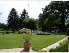 Eine große Grünfläche in einem Park mit einzelnen Bäumen, darunter hohe Tannen. Im Vordergrund steht ein Pflanzentopf mit blühenden Pflanzen. Im Hintergrund sitzen mehrere Personen an gedeckten Tischen, teils unter einem roten Sonnenschirm.