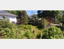 Ein grüner Garten mit verschiedenen Büschen, Bäumen und einem Rasen im Vordergrund. Im Hintergrund sind ein weißes Haus, kleinere Holzbauten und weitere Gebäude in einer Wohngegend zu sehen, umgeben von Bäumen.