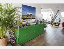 Wohnzimmer mit Holzfußboden, einer grünen Kommode, die von Büchern und Dekorationsgegenständen wie einer kleinen Skulptur geschmückt ist, und einer großen Topfpflanze daneben. Im Hintergrund befinden sich eine Sitzecke mit einem runden Teppich sowie große Fenster, die für viel Tageslicht sorgen.